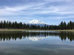 siskiyou grapevine