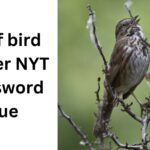 bird of bird chatter crossword clue nyt