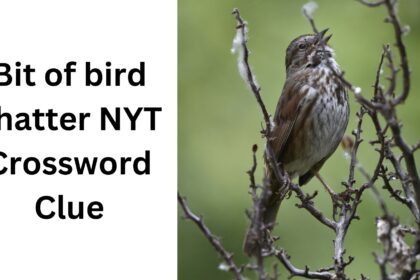 bird of bird chatter crossword clue nyt